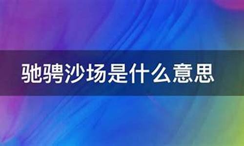 驰骋沙场的意思_驰骋沙场的意思解释