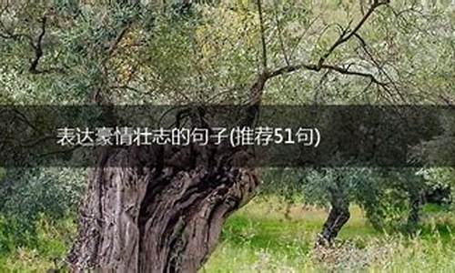 豪情壮志的精美句子_豪情壮志的精美句子200字左右