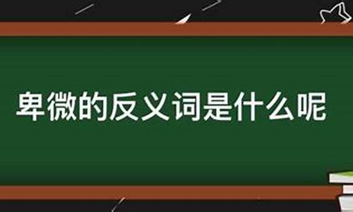 卑微的反义词_卑微的反义词是什么 标准答案