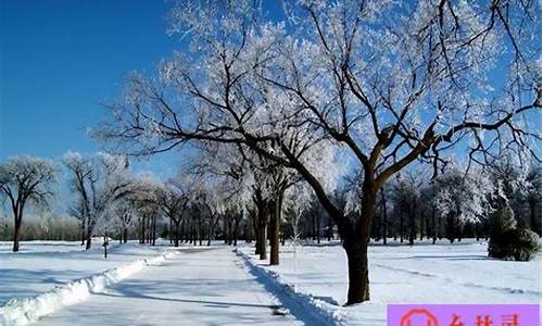 一句简短的雪景句子_一句简短的雪景句子一年级