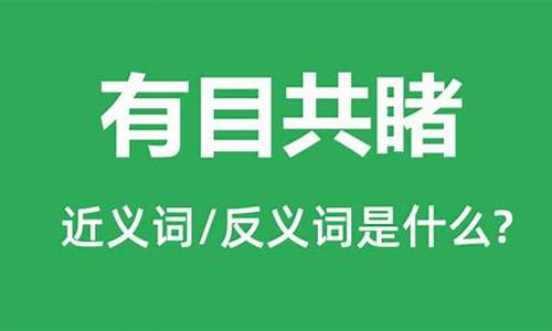 有目共睹是什么意思_实力有目共睹是什么意思