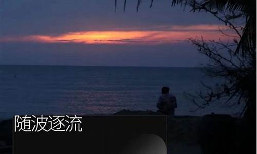 随波逐流_随波逐流什么意思